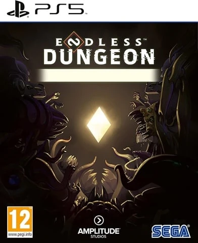 Endless Dungeon PS5