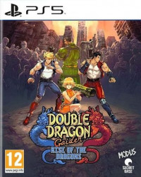 Double Dragon Gaiden: Rise of the Dragons PS5