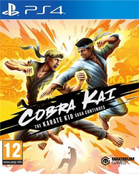 Cobra Kai: The Karate Saga Continues PS4